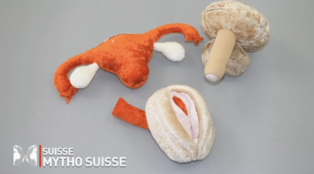 Impossible de lire la video